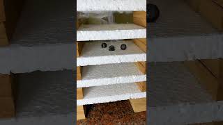1000°C Hot Iron Ball vs Thermocol 😱#shorts #experiment #asmr