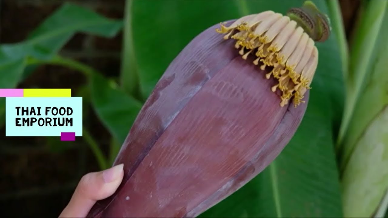 BananaFlower Fritters with Dipping Sauce YouTube
