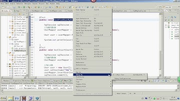 day01 mybatis   13mapper代理开发的问题总结 spring mvc - 2015最新springmvc+mybatis+shiro视频教程
