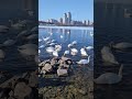 6 березня 2026 р.