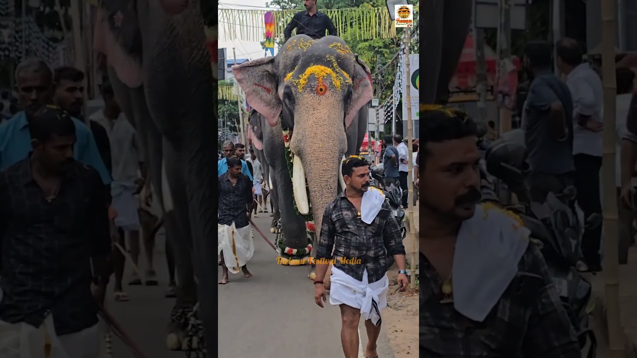 പൂരനായകന്റെ Royal entry🔥|thrissur pooram 2025