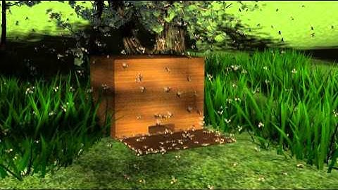 Quicksilver rendering bee swarm