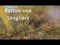 Battue aux sangliers  4 aux mme poste 