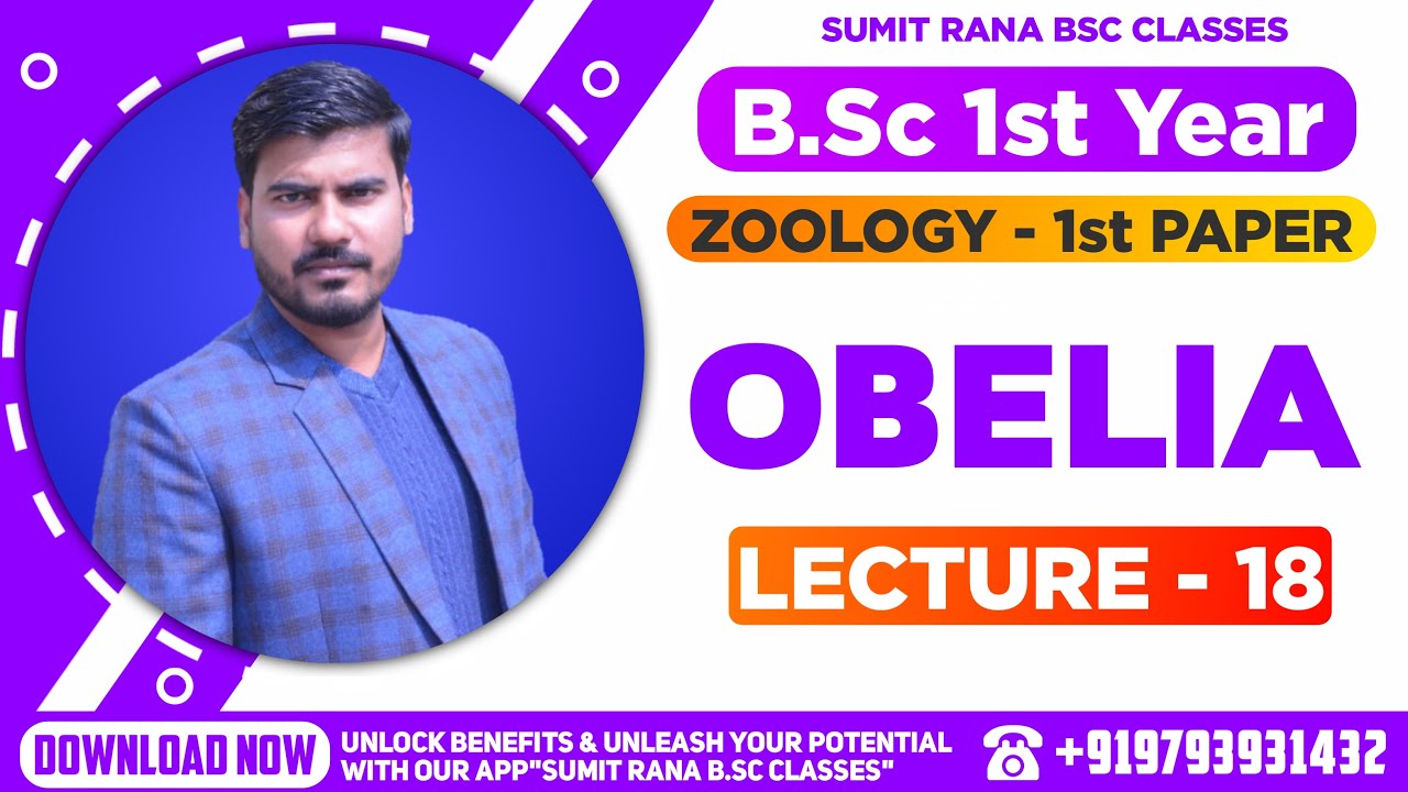 (Lt-18) Obelia Part - 1 || Zoology 1st Paper || B.Sc. 1st Year