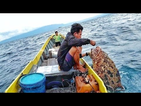 TAK DI SANGKA MANCING IKAN DI SPOT BARU||ternyata sarang ikan kerapu taiger babon