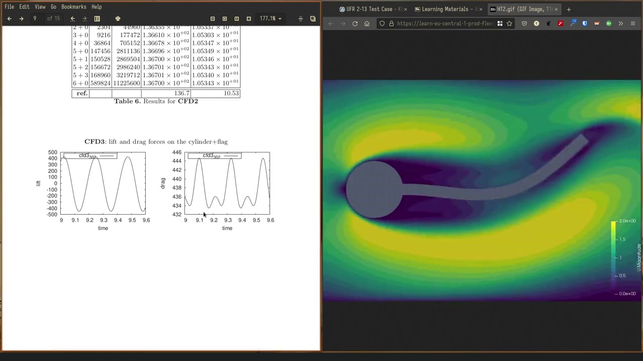 Hron-Turek and Ercoftac benchmarks for FSI