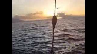 Tetiaroa Birds Island