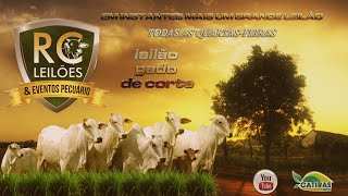 RC LEILÕES E EVENTOS PECUÁRIOS -  CATALÃO - GO - 22 DE JULHO DE 2026.
