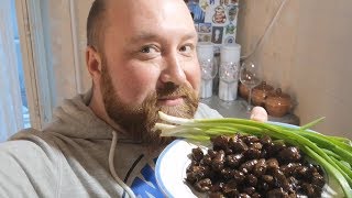 КУРИНЫЕ СЕРДЕЧКИ В КИСЛО-СЛАДКОМ СОУСЕ. ГОТОВЛЮ КУРИНЫЕ СУБПРОДУЕТЫ. РЕЦЕПТ КУРИНЫХ СЕРДЕЧЕК. КУРИНЫЕ СЕРДЕЧКИ В КИСЛО-СЛАДКОМ СОУСЕ. ГОТОВЛЮ КУРИНЫЕ СУБПРОДУЕТЫ. РЕЦЕПТ КУРИНЫХ СЕРДЕЧЕК.
