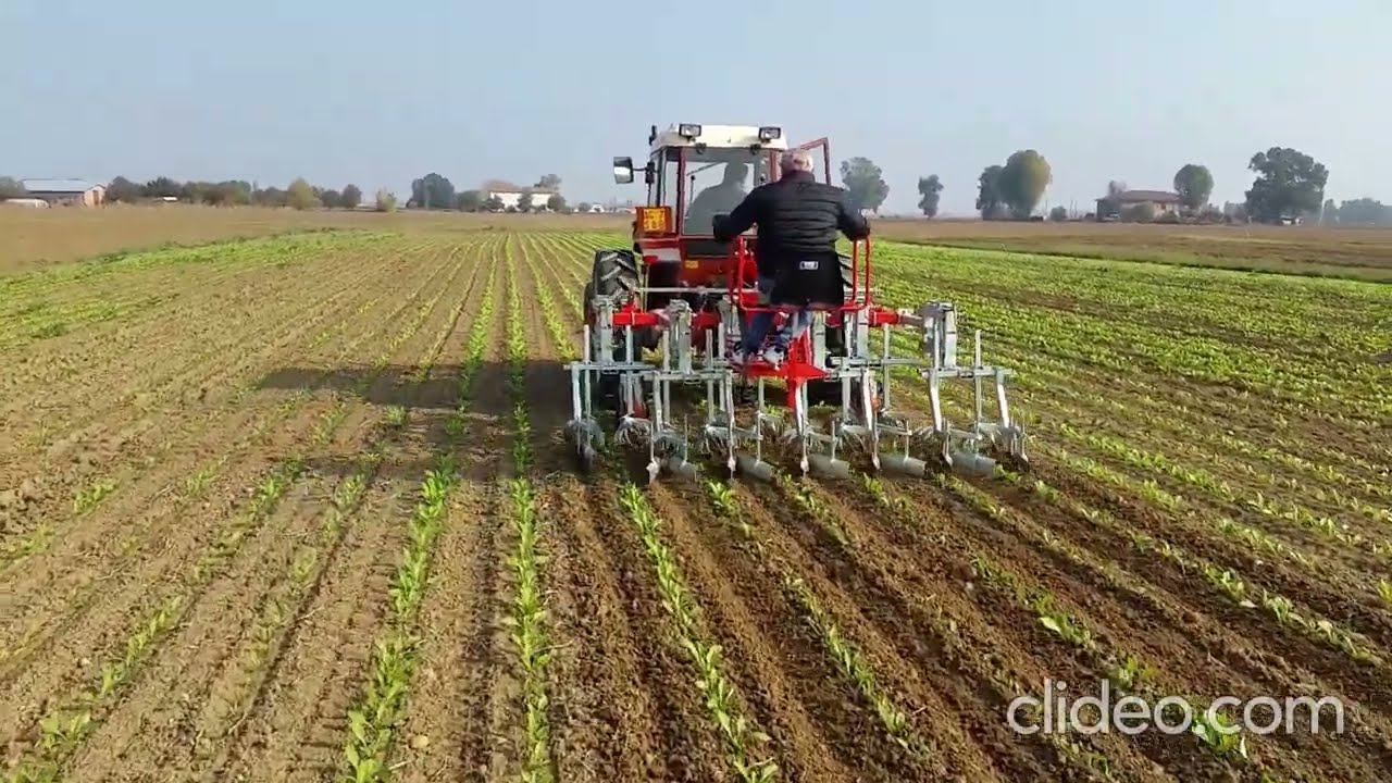ROTOSARK WEEDING MACHINE SUGARBEET BINADORA REMOLACHA BINEUSE BETTERAVE SARCHIATRICE BARBABIETOLA