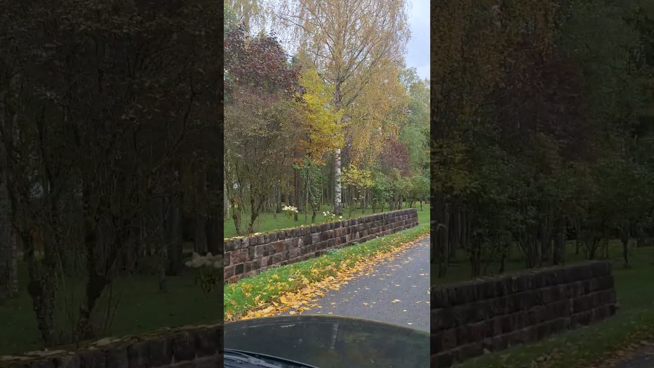 Осенняя дорога… Время подумать. 🍂 / Autumn road… Time to think. 🍁 