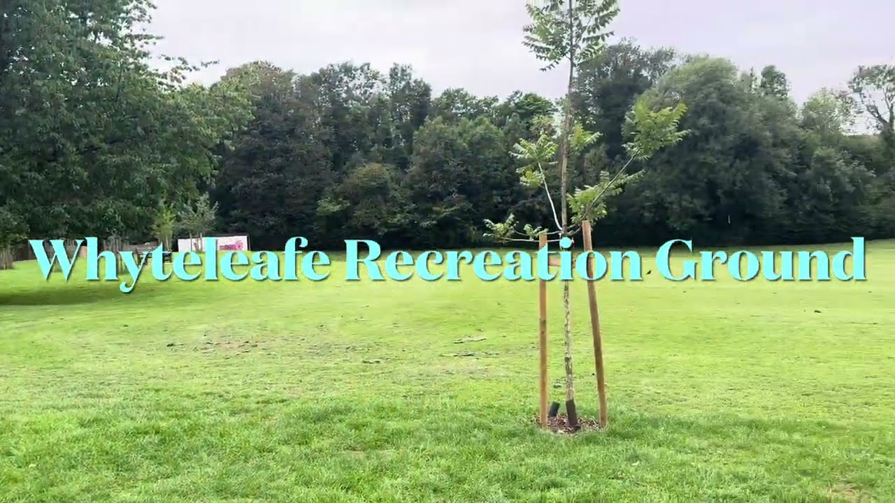 Whyteleafe Recreation Ground 