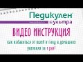 Как вывести вшей и гнид быстро и навсегда