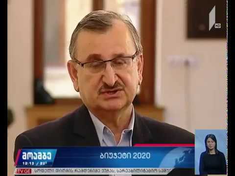 2020 წლის სახელმწიფო ბიუჯეტის განხილვა