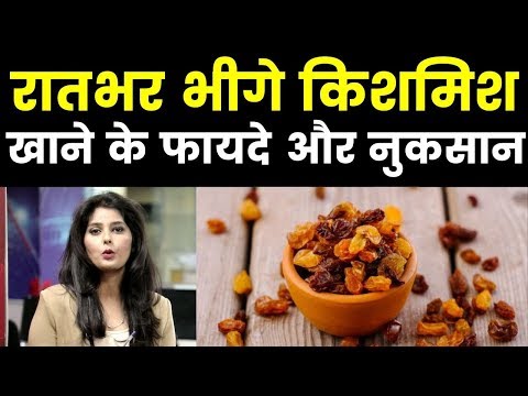 Health benefits of Raisins; Easy Tips to remove fat; किशमिश खाने के फायदे और नुकसान, India News