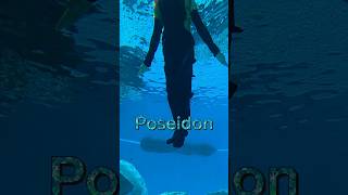 Guinness World Record Hydroman Show - Is he poseidon??