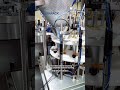 LevaPack Pickled Vegetable Plastic Jar Filling And Packaging Production Line