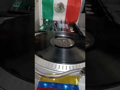 GAVIOTA LIMPIA MUSICA