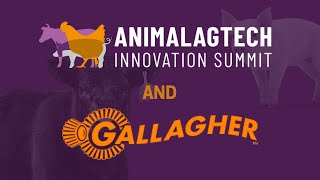 Innovating Livestock Management | Gallagher eShepard’s Approach to AgTech