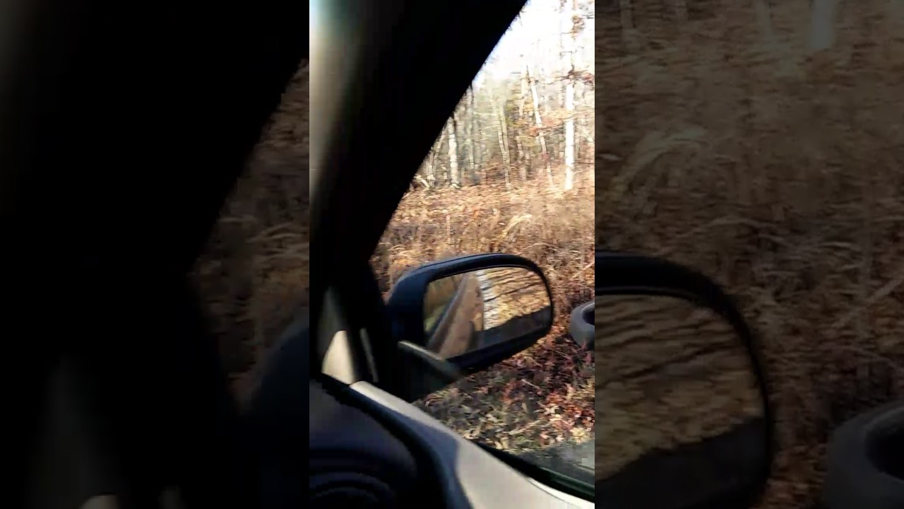 Lakewood Park trustees won't keep the park clean beechgrove Tennessee