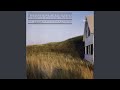 Miniature de la vidéo de la chanson American Primitive