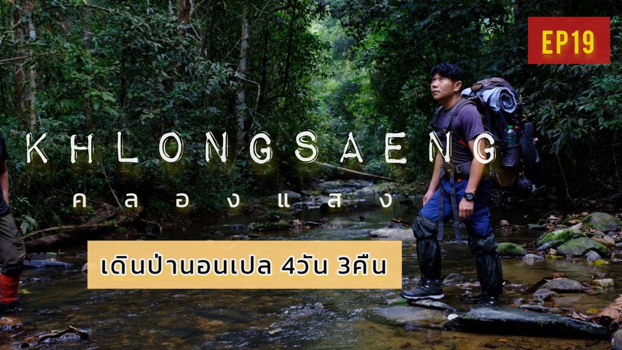 คลองแสง ป่าใต้ จังหวัดสุราษ