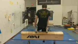 NAIGC Allowable Skills - Pommel Horse - Single Leg Stockli