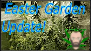Easter Garden Update!