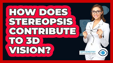 How Does Stereopsis Contribute To 3D Vision?