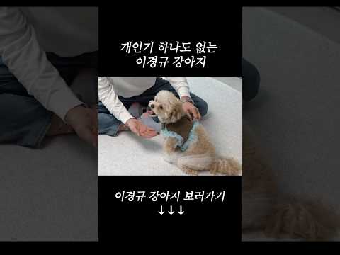 개인기 하나도 없는 이경규 강아지