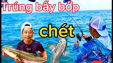 câu cá biển//câu jig vô bầy cá bớp// bầy cá chét//bầy cá bè trang đuối cả người@giangngofising