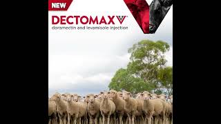 Dectomax V Dual Combination Injection For Cattle & Sheep