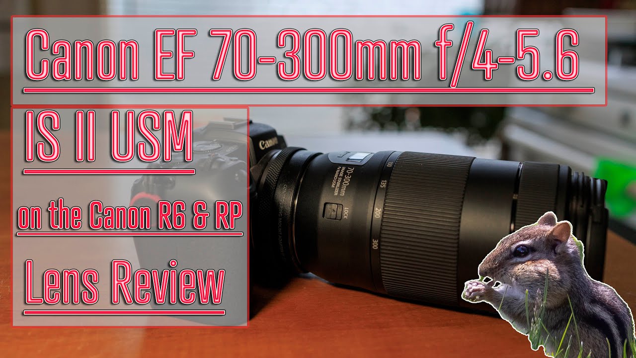 Canon EF 70-300 f/4-5.6 IS II USM on the Canon R6 & RP | Lens Review