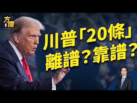 川普政纲20条,每一条难或易,方伟跟你说!|2024美国大选|方伟时间 11.08.2024