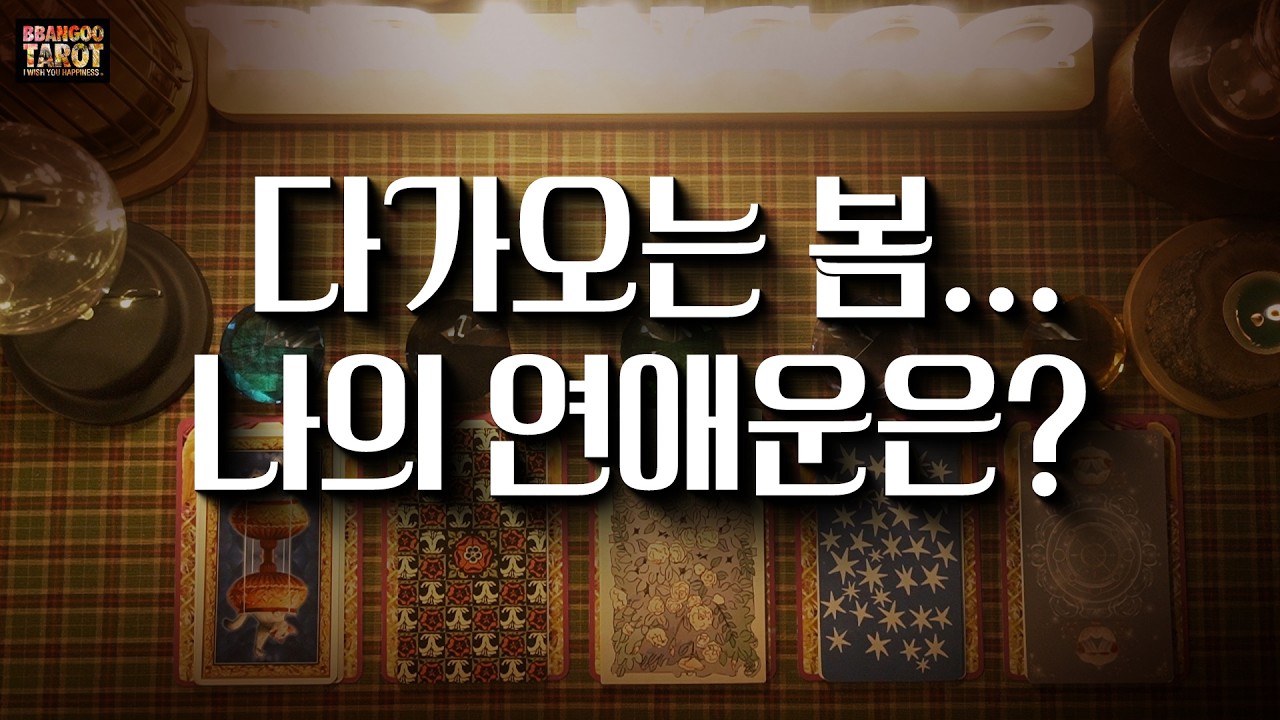 [타로/애정운/빵구] 다가오는 봄... 나의 연애운은