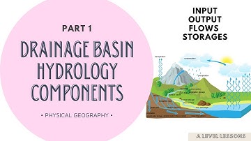 Drainage Basin Hydrology (Inputs, Flows, Storages, Output) | A Level Geography (2024)