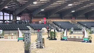 “Nova” 2’6” Jumper class at TIEC