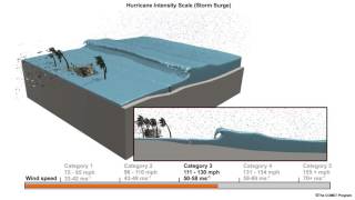 Hurricane Storm Surge