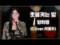 JMORNING 앵두걸스 촛불켜는 밤 양하영 Cover 박앵두 가사 Lyrics 7080 제이모닝 JMORNING 앵두걸스 촛불켜는 밤 양하영 Cover 박앵두 가사 Lyrics 7080 제이모닝
