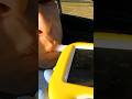 Is This Driver Deliberately Foiling the Test? | RBT Australia