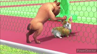 Moco Corgi Twerking Taunt