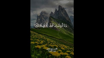 ( ويسألونك عن الروح قل الروح من أمر ربي وما أوتيتم من العلم إلا قليلا ) القارئ وديع اليمني