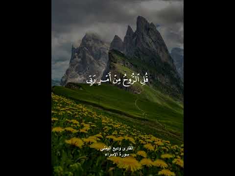 ويسألونك عن الروح قل الروح من أمر ربي وما أوتيتم من العلم إلا قليلا القارئ وديع اليمني