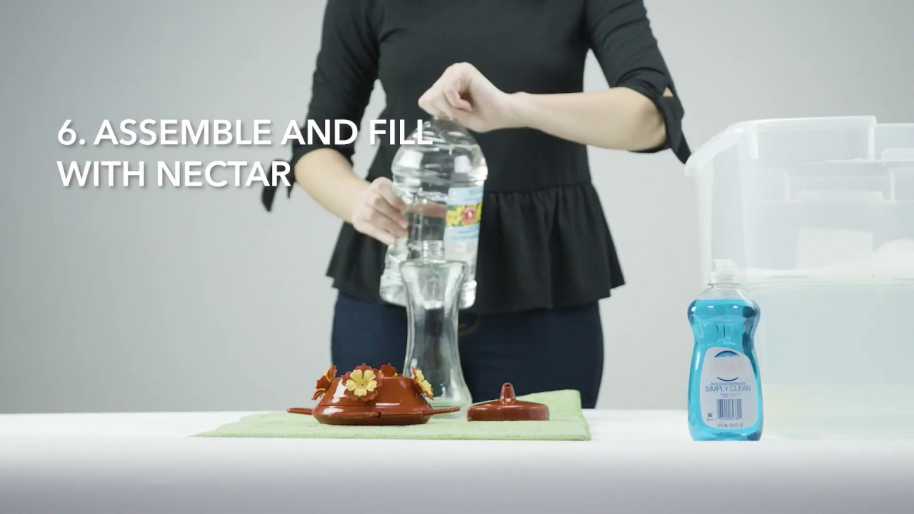 How to Clean and Fill the Perky-Pet® Adjustable Perch Glass Hummingbird ...