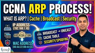 ARP Explained: How Your Router Finds Your Phone’s Real Address