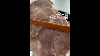 몽실종가돼지국밥 영상