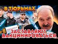 Лукашенко Конфискует валюту у Беларусов