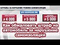 Как обжаловать штраф на автомобиль за нарушение самоизоляции