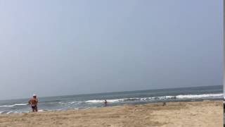 IMG 3740