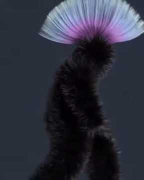 68558551 1484636378344756 774952415180661356 n